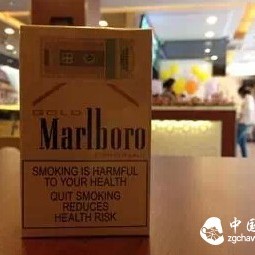 Health and Wellness: Why Tea Can Counteract Tobacco Toxins