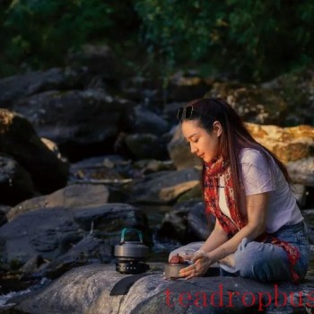 Four Principles Not to Buy and Three Selection Criteria for Aged Pu-er Tea