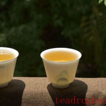 How Much Tea Should You Drink? Can You Drink Tea Left Overnight?
