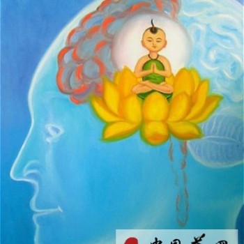 The "Power" and "Qi" of Tea