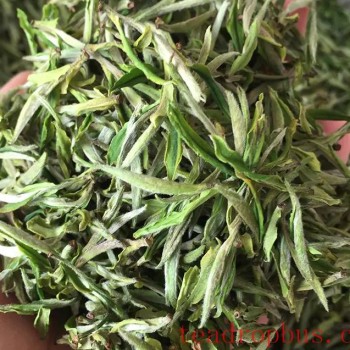 Key Points for Storing Tea: What Aspects to Pay Attention to When Storing Tea