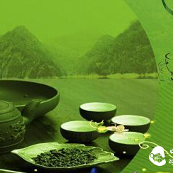 How to Distinguish Green Tea, White Tea, and Yellow Tea