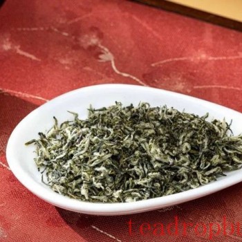 The Story Behind the Harvest and Production of Biluochun Tea