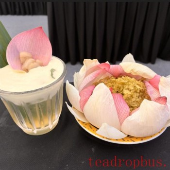 Inside the Tea Industry with Sharyn Johnston: Vietnam’s Snow Shan Tea and Tea Masters Cup