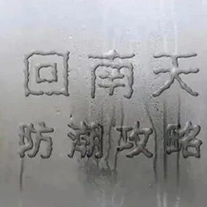 Preparation for the Return of Spring Moisture: Ancient Wisdom on Storing Tea