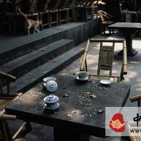 The Difference Between Tasting Tea and Drinking Tea