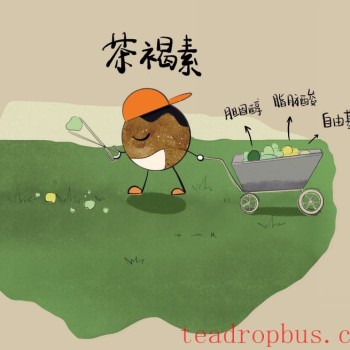 What are the Benefits of Tea Brown Pigment in Shou Pu-er?