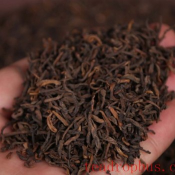 Appropriate Brewing Ratio for Pu-er Ripened Tea