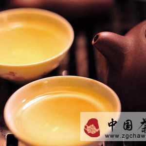 Discussing 'Tea Competitions' in Wuyishan Rock Tea Village