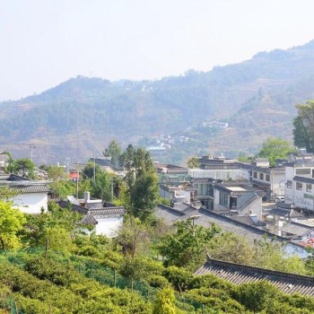 Jinxiu Village, Xiaowan Town, Lincang City – A Treasure Land of Ancient Tea