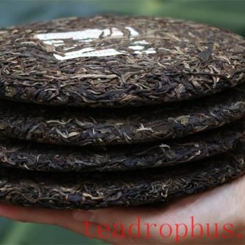 How to Select Pu-er Tea: These Five Points Are Crucial