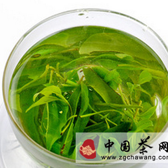 Characteristics of Kuding Tea