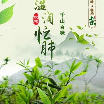 One Mountain, One Flavor: Lincang Tea – Yongde County: A Symphony of Flavors in a Warm and Nourishing Mangfei