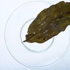 The Legendary Dampness-Removing Tea Recipe You'll Regret Not Clicking
