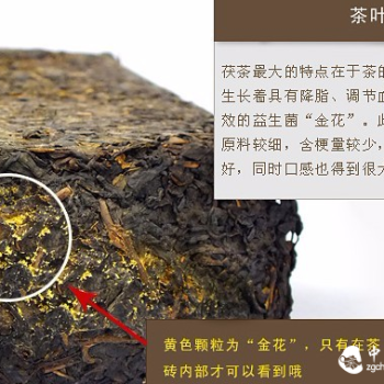 The 'Golden Flower' in Dark Tea Can Effectively Defend Against the Hazards of Smog