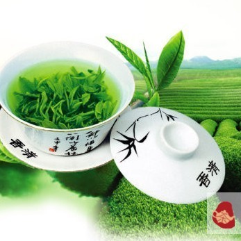 Drinking Tea Can Lead to Longevity – Tea Helps You Stay Away from 16 Illnesses