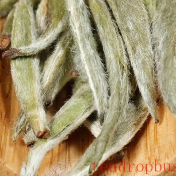 Price of Yunnan Jinggu Large White Tip in Dollars
