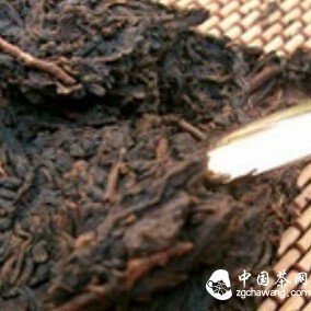 Are “Tea Insects” Good or Bad for Tea Itself?