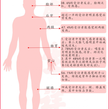 Four-Flavor Scholar • On Liubao | Physical Reactions to Drinking Traditional Liubao Tea