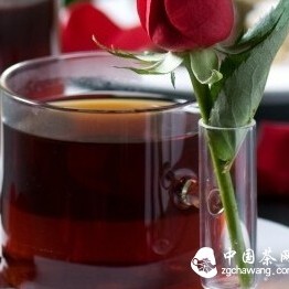 Pu'er Tea Knowledge Compendium: Remember It and You'll Be a Tea Master!