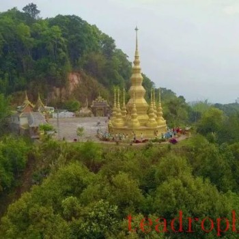 Jingmai Mountain, the Secret Hiding Place of a Thousand-Year Tea Aroma!
