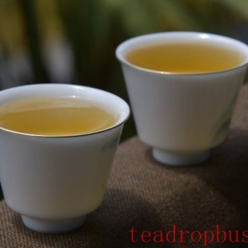 Puer Spring Tea from Ancient Trees: Characteristics