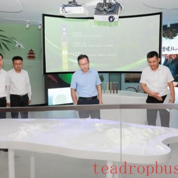 Ding Lixin Conducts Special Research on the Revitalization of the Dongting Mountain Biluochun Tea Industry