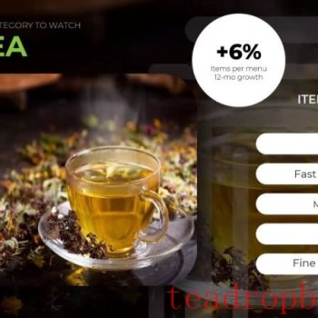 Hot and Iced Tea Varieties Transform Modern Menus