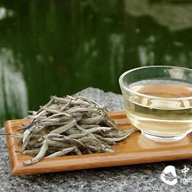 Do You Know the Nine Major Benefits of White Tea?