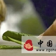 How to Buy Tea That Suits You in a Tea Shop