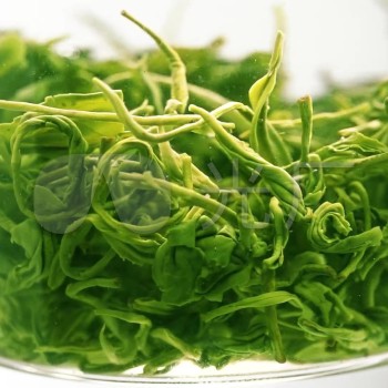 A Guide to Brewing Maojian Tea: From Beginner to Expert