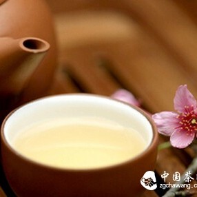 Have You Been Drinking Beauty and Weight Loss Tea Correctly?