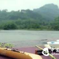 How Many Times Should Tea Be Brewed for Health? Drinking Tea Incorrectly Can Cause Cancer