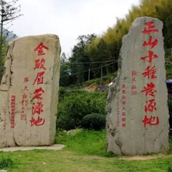 Detailed Identification and Knowledge of Jin Jun Mei