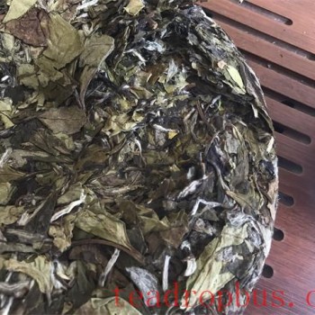 How to Store White Tea Best