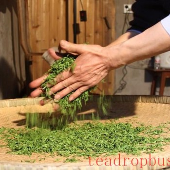 Green Tea Making Skills (Wujiatai Tribute Tea Making Skills from Xuan-en County)