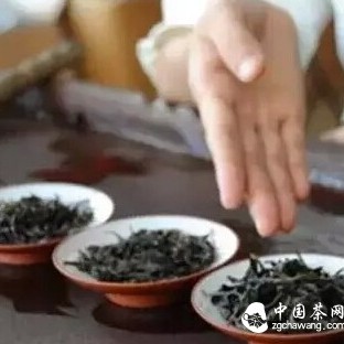 New Tea Cup Brewing, Old Teapot Steeping