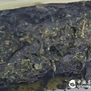 Drinking Anhua Dark Tea Can Boost Low Immunity