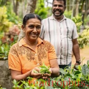Coffee and Tea: New Ties in Trade Between China and South Asia