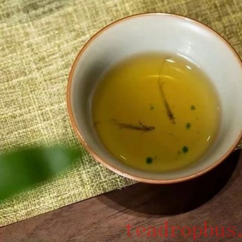 Have You Had Tea After Recovering from COVID-19? How to Drink Tea During Recovery?