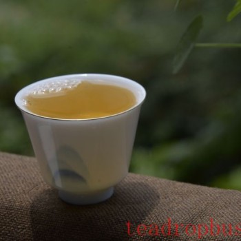 How to Choose a Good-Tasting Pu-er Tea