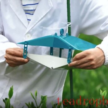 Pest Management Using Sex Pheromones in Tea Plantations