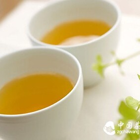 What Tea to Drink in Autumn for Moistening Lungs and Good Health?