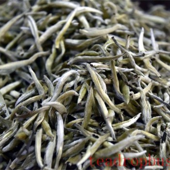 When in Doubt About Which Tea to Choose, Start with White Tea