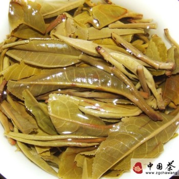 Comparative Study on Pu'er Tea Leaf Base Analysis (Part 1)