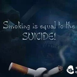 Smokers, You Should Drink More Tea to Detoxify from Smoke