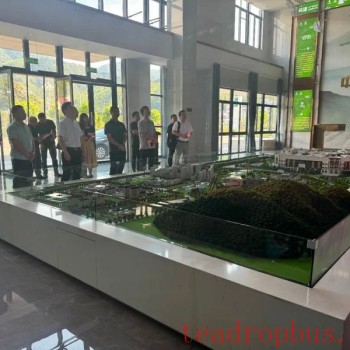 Survey Team from the Provincial Development and Reform Commission Visits the Big Data Service Platform for the Tea Industry at China White Tea City