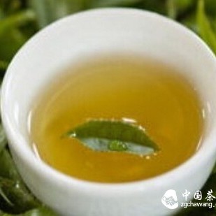 Daily One “Taste”—— Yellow Tea