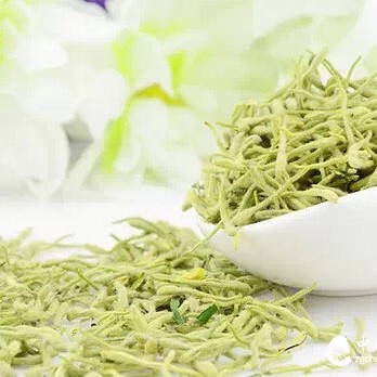 Small Tea Leaves, Big Effects: The Magical Health Benefits of Tea!