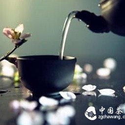 How to Drink Eucommia Tea for Weight Loss Effect